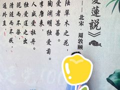 -莲湖公园