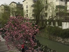 -星巴克(扬州珍园店)