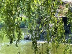 -石家庄市动物园