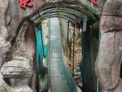 -叠彩山景区