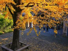 -惠山古镇·寄畅园