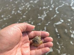 -嵊泗基湖沙滩