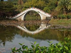 -田野绿世界
