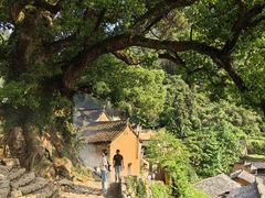 -杨家堂村
