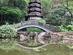 -深圳国际园林花卉博览园