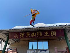 -西霞口神雕山野生动物世界