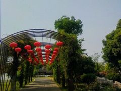 -鹅湖玫瑰文化园