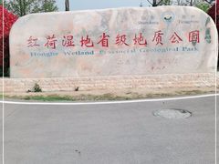 -微山湖红荷湿地景区