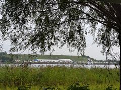 -呼兰河口湿地公园