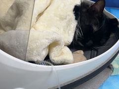 -达爱动物医院·犬猫分区·CT·复杂眼科(远洋山水分院)
