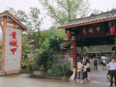 -青城甲(青城山店)