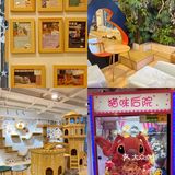 北京探店｜猫咪后院实现撸猫自由🐱