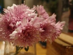 -山茶云南菜(永安里店)