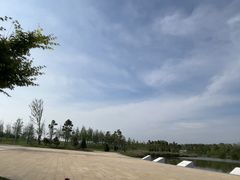 -盐城丹顶鹤湿地生态旅游区