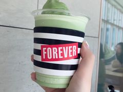 -雪绿茶博物馆