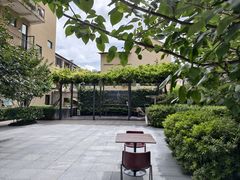 -嘉善老市