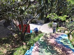 -桃源山庄·水蜜桃采摘·柴火鸡·烧烤团建(龙泉山店)