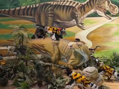 -安徽省地质博物馆