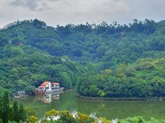 -深圳仙湖植物园