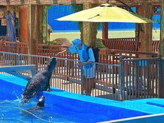 -泉城欧乐堡海洋极地世界