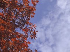 -苏州本色美术馆