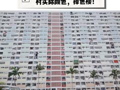 -彩虹村