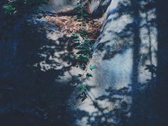 -云龙山