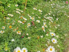 -重庆雨台山风景区
