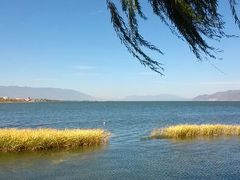 android_upload_pic-海友酒店(北京雍和宫地铁站店)