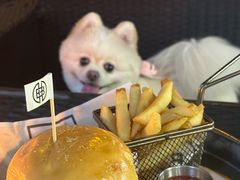 -Shanghai Brew House上海啤酒工坊(老外街店)