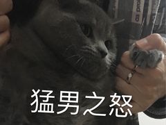 -哈努曼印度餐厅(吴泾宝龙广场店)