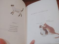-西西弗书店&矢量咖啡(壹方购物中心店)