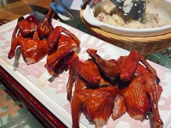 红烧乳鸽-大鸽饭(北京路店)