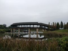 -眉山湿地公园(东坡区)