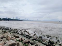 -深圳湾公园(南山区)