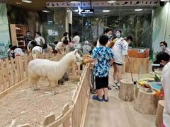 -宝龙城(杭州滨江店)