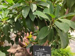 -北京植物园-展览温室