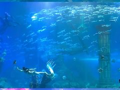 -哈尔滨波塞冬海底世界