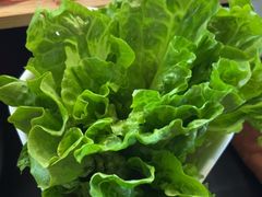 -猪无忌·专做猪肚包鸡20年(乐峰广场店)