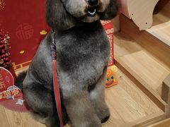 -佐罗家宠物馆·猫文化馆(紫霞路店)