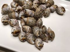 白花螺-金苑海鲜酒家(来魅力店)