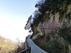 -少华山国家森林公园