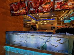 -扶摇树下·椒麻鲜活虾(石家庄勒泰广场店)