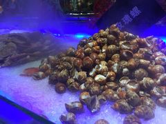 -韩京炭火烤肉自助料理(柯桥万达店)