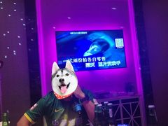 -奥斯汀KTV(金湖店)