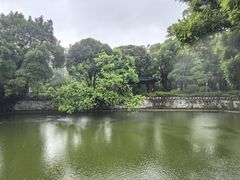 -柳侯公园