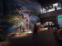 -自贡恐龙博物馆