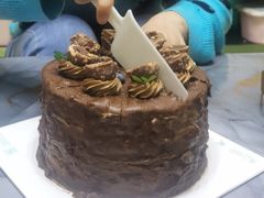 -维尔纳斯·生日蛋糕·动物奶油冰淇淋蛋糕(雨花店)