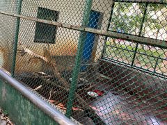 -广东茂名森林公园