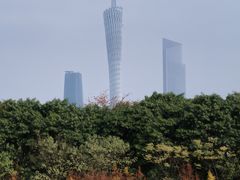 -海珠湖公园